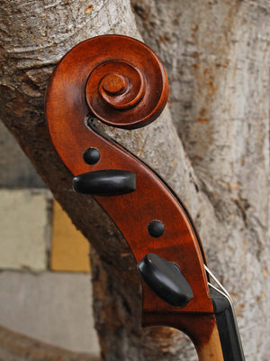 Eastman model 315 3/4 Cello