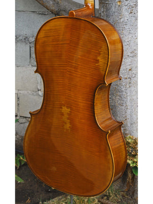 Salvatore Callegari 'Gofriller 1693' 4/4 Cello