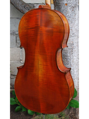 Vivo Limited 7/8 Cello