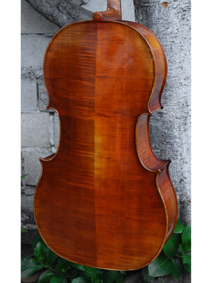 Vivo Strad model 250 3/4 Cello - slightly used