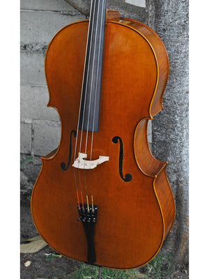 Vivo 'King Amati 1570' 4/4 Cello
