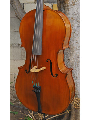 Angel Taylor model 420 3/4 Cello