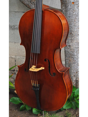 Vivo Strad model 200 3/4 Cello