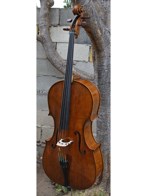 Nicholas Baciu #5 "Tiki Bob" (Romania) - 7/8 Cello