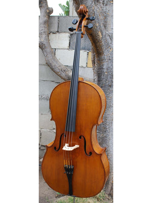 J.W. Schult early 20th Century - 4/4 Cello