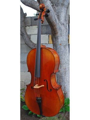Vivo Limited 7/8 Cello