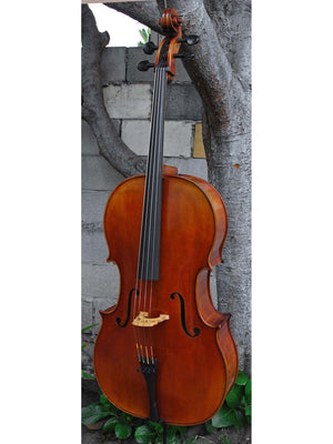 Vivo Strad model 250 3/4 Cello - slightly used