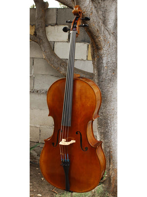Vivo 200 '1710 Strad' 4/4 Cello
