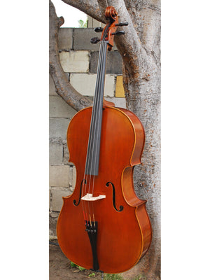 Hans Werner 725 'Master' 4/4 Cello