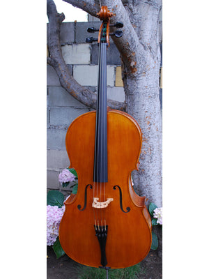 Calin Wultur Model #5 'Piatti Strad' 4/4 Cello - used