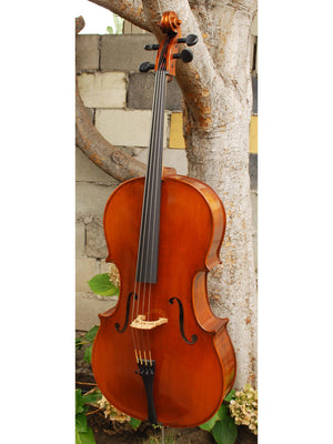 Eastman model 315 3/4 Cello