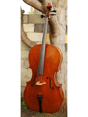 Jason Starkie '1717 Rogeri' Master Grade 4/4 Cello