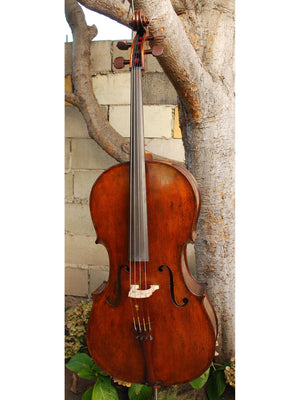Johann Edler 'Testori' 3/4 Cello