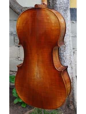 Otto Schönfelder 'Stradivari' 4/4 Cello