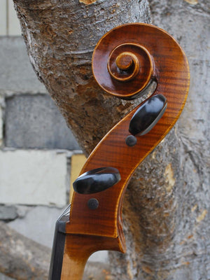 Antonio Fiorini 650 'Stradivari' - 7/8 Cello (0826)