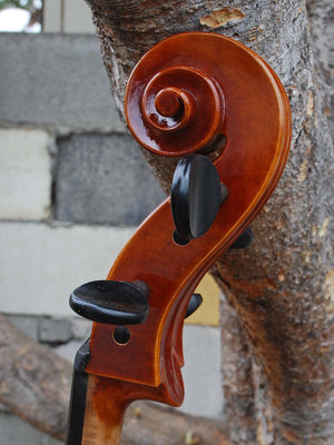 Vivo 100 '1710 Strad' 4/4 Cello