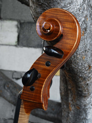 Victor Resca Model #7 4/4 Cello "BFF"