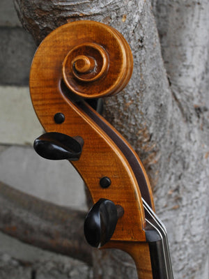 Jan Szlachtowski Master Level 'Gofriller' 4/4 Cello