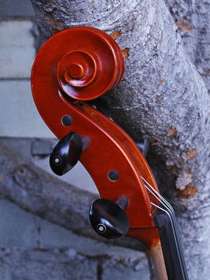 Johannes Seibert Model 250 'Stradivari' 7/8 Cello