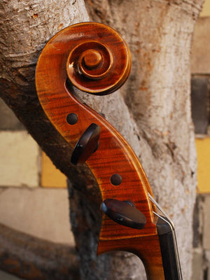 Salvatore Callegari 'Montagnana 1739 Sleeping Beauty' 4/4 Cello