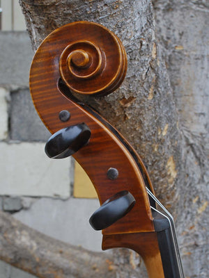 Antonio Fiorini 650 'Stradivari' - 7/8 Cello (0826)
