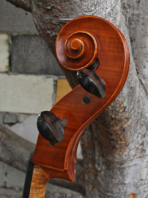 Nicholas Baciu #5 7/8 Cello (Romania) (121594)