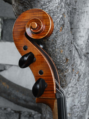 Victor Resca Model #7 4/4 Cello "BFF"