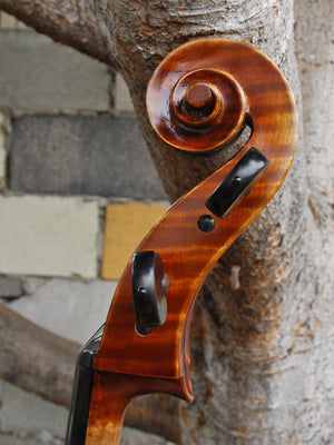 Fire Phoenix FC500 'Artista' 4/4 Cello