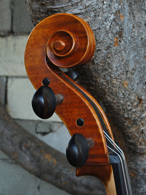 Vivo 'King Amati 1570' 4/4 Cello
