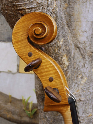Tadeusz Slipek Master 'Jacobs' Golden 4/4 Cello