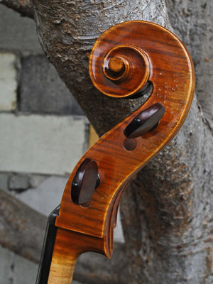 Salvatore Callegari 'Gofriller 1693' 4/4 Cello