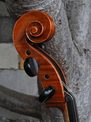 Victor Resca Model #6 4/4 Cello