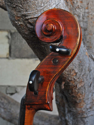 Michael Gerlach 'Gabrielli' 7/8 Cello
