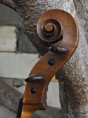 19th Century German Amati - 4/4 Cello