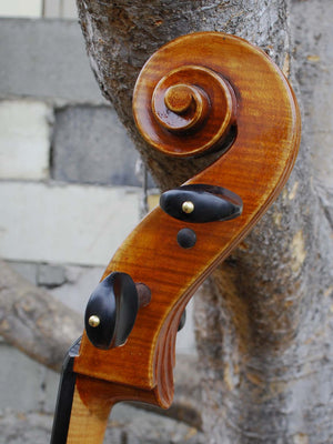 Eastman model 830 Poplar Strad pattern 4/4 Cello