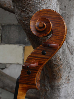 Tadeusz Slipek Master 'Jacobs' 4/4 Cello.