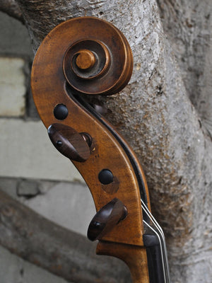 19th Century German Amati - 4/4 Cello