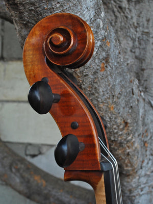 Vivo Limited Eurowoods 'Stradivari' 4/4 Cello