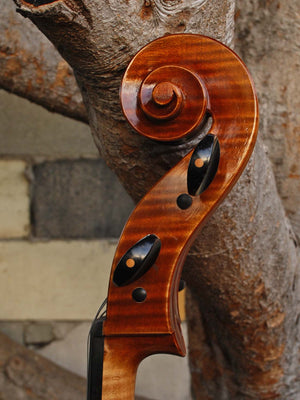 Vivo Special Eurowoods 4/4 Cello