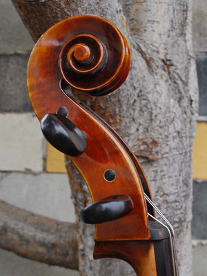 Antonio Fiorini 650 'Strad' 4/4 Cello