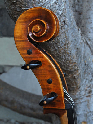 Vivo Guadagnini 1777 'Simpson' Replica 4/4 Cello (25097)