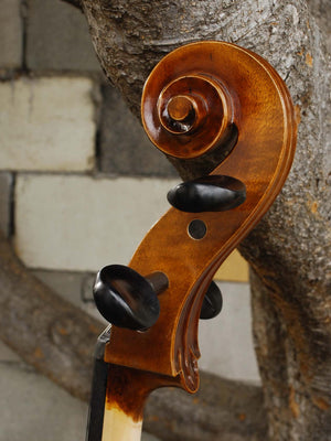 Vivo model 400 'Strad' 7/8 Cello