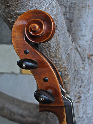 Vivo model 400 Strad 4/4 Cello (A)