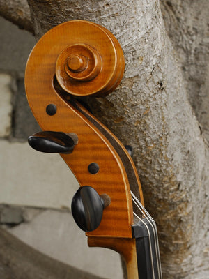 Calin Wultur model #6 'Guarneri' 4/4 Cello