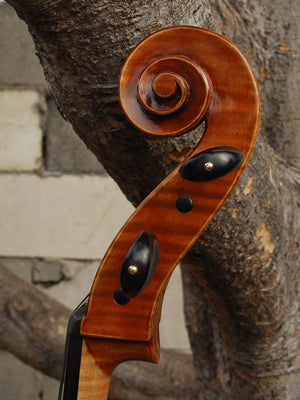 Eastman model 830 Poplar Gagliano pattern 4/4 Cello