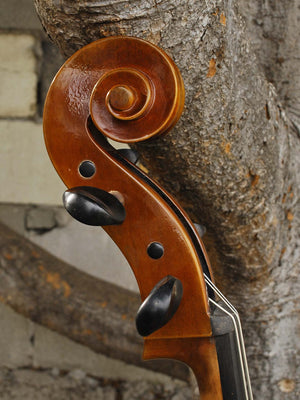 Vivo 200 '1710 Strad' 4/4 Cello