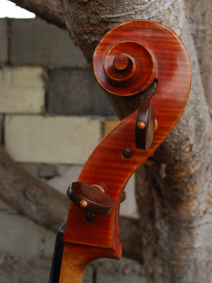 Zhen Jie Zhao Master 'Sleeping Beauty Montagnana' 4/4 Cello