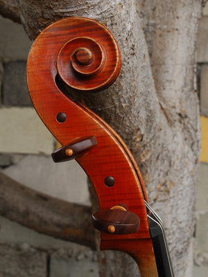 Zhen Jie Zhao Master 'Sleeping Beauty Montagnana' 4/4 Cello