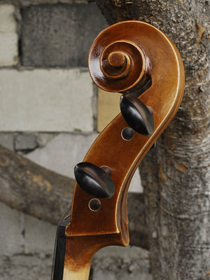 Vivo Strad model 100 3/4 Cello