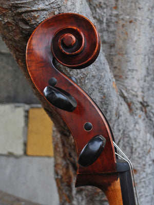 Angel Taylor model 220 4/4 Cello
